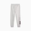Зображення Puma Штани PUMA POWER Men’s Sweatpants #7: light gray heather