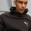 Image Puma Evostripe Men's Hoodie #2