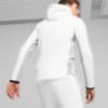 Image PUMA Moletom com Capuz EVOSTRIPE Mapla Dupla Full-Zip Masculino #5