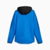 Image Puma EVOSTRIPE Full-Zip Men's Hoodie Men #7