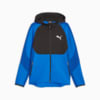 Image Puma EVOSTRIPE Full-Zip Men's Hoodie Men #6