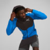 Image PUMA Moletom com Capuz EVOSTRIPE Mapla Dupla Full-Zip Masculino #1