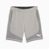Image PUMA Shorts PUMA EVOSTRIPE Mapla Dupla Masculino #6