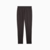 Image Puma EVOSTRIPE Men's Sweatpants #7