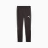 Image Puma EVOSTRIPE Men's Sweatpants #6