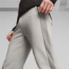 Image Puma EVOSTRIPE Men's Sweatpants #4