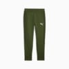 Image Puma EVOSTRIPE Men's Sweatpants #6