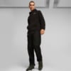 Зображення Puma Худі ESS+ Men's Sherpa Hoodie #5: Puma Black