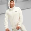 Изображение Puma Толстовка ESS+ Men's Full-Zip Hoodie #1: Alpine Snow