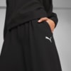 Görüntü Puma HER Kadın STRAIGHT Eşofman Altı #3