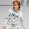Зображення Puma Худі PUMA SQUAD Men’s Hoodie #1: light gray heather