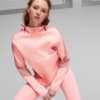 Görüntü Puma EVOSTRIPE Kadın Kapüşonlu Sweatshirt #1