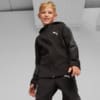 Зображення Puma Дитяча толстовка Evostripe Youth Full-zip Hoodie #1: Puma Black