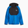 Image Puma Evostripe Youth Full-zip Hoodie #4
