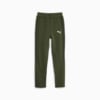 Image Puma Evostripe Youth Sweatpants #4