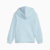 Görüntü Puma ESSENTIALS MIX Match Çocuk Fermuarlı Kapüşonlu Sweatshirt #5