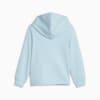 Изображение Puma Детская толстовка Essentials Mix Match Kids’ Full-Zip Hoodie #5: Silver Sky