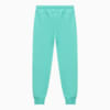 Зображення Puma Штани Elevated Sweat Pants Men #2: Lake Green