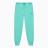 Зображення Puma Штани Elevated Sweat Pants Men #1: Lake Green