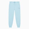 Зображення Puma Штани Elevated Sweat Pants Men #1: Silver Sky