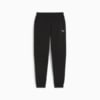 Изображение Puma Спортивные штаны RAD/CAL Men's Sweatpants #1: Puma Black