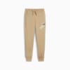 Зображення Puma Спортивні штани PUMA POWER Track Pants #6: Prairie Tan