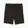Изображение Puma Шорты EVOSTRIPE Men's Shorts #7: Puma Black
