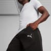 Изображение Puma Шорты EVOSTRIPE Men's Shorts #5: Puma Black