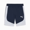 Imagen PUMA Shorts EVOSTRIPE para hombre #6