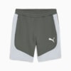 Изображение Puma Шорты EVOSTRIPE Men's Shorts #6: Mineral Gray