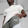 Изображение Puma Шорты EVOSTRIPE Men's Shorts #3: Mineral Gray