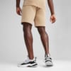 Зображення Puma Шорти EVOSTRIPE Men's Shorts #3: Prairie Tan
