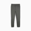 Зображення Puma Спортивні штани EVOSTRIPE Men's Sweatpants #7: Mineral Gray