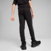 Изображение Puma Детские Брюки EVOSTRIPE Youth Sweatpants #2: Puma Black