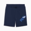 Зображення Puma Дитячі шорти PUMA POWER Youth Shorts #1: Club Navy