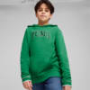 Изображение Puma Худи PUMA SQUAD Youth Hoodie #1: Archive Green