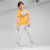 Зображення Puma Дитячі штани PUMA SQUAD Youth Sweatpants #3: light gray heather
