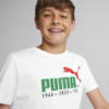 Image Puma No.1 Logo Celebration Tee B #2