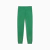 Изображение Puma Спортивные штаны ESS+ Script Women's Sweatpants #7: Archive Green