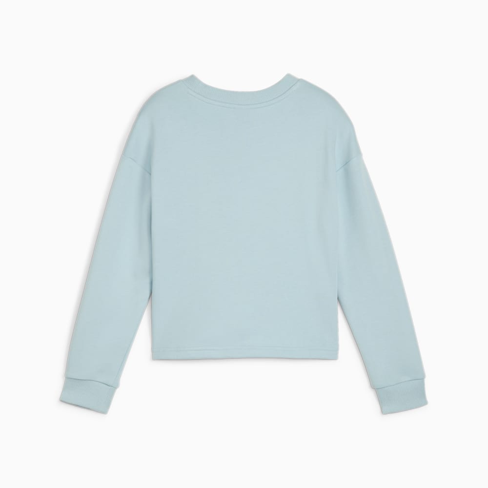 Изображение Puma Детский свитшот PUMA POWER Youth Sweatshirt #2: Turquoise Surf