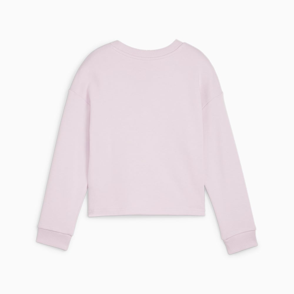 Изображение Puma Детский свитшот PUMA POWER Youth Sweatshirt #2: Grape Mist