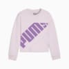 Изображение Puma Детский свитшот PUMA POWER Youth Sweatshirt #1: Grape Mist