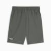 Зображення Puma Шорти RAD/CAL Men's Woven Shorts #2: Mineral Gray