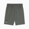 Изображение Puma Шорты RAD/CAL Men's Woven Shorts #2: Mineral Gray