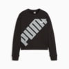Изображение Puma Свитшот PUMA POWER Women's Sweatshirt #6: Puma Black