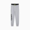 Изображение Puma Детские спортивные штаны Blueprint Basketball Youth Sweatpants #1: Gray Fog