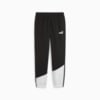 Изображение Puma Штаны PUMA POWER Men's Colorblock Pants #6: Puma Black