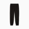 Изображение Puma Брюки ESS ELEVATED Pants Women #6: Puma Black