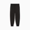 Изображение Puma Брюки PUMA SQUAD Pants Women #7: Puma Black