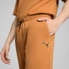 Изображение Puma Брюки RAD/CAL Pants Men #5: Caramel Latte